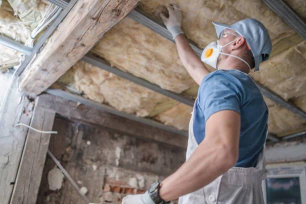 Best Energy Efficiency Solutions in Starbuck, MN